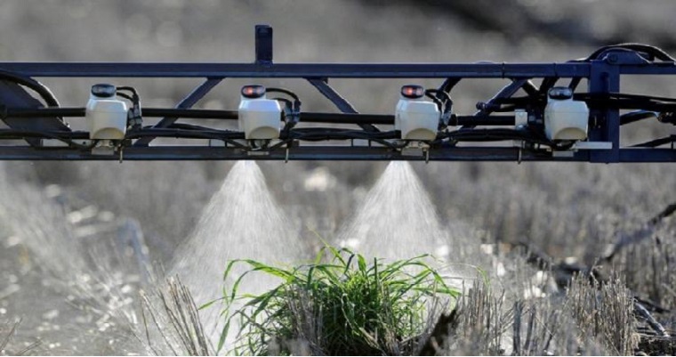 Aplicación selectiva, aliada de los lotes siempre verdes