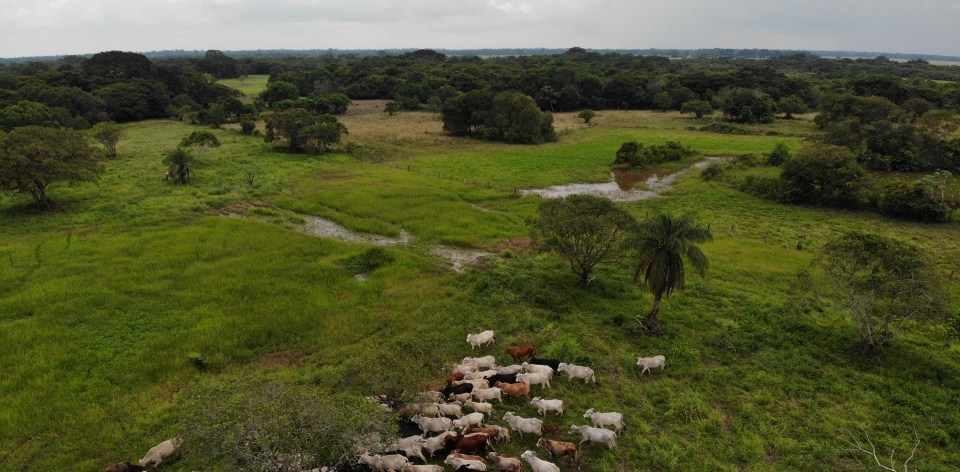 Intercambio de experiencias en tecnología para el monitoreo de cultivos entre la UPRA y ministerios de Agricultura de Colombia y Perú