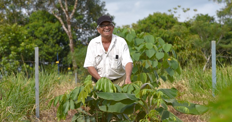 Del círculo vicioso al virtuoso: cómo aborda la Alianza el cambio climático y los conflictos