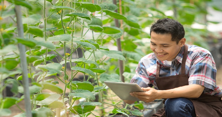 IICA IMPULSA MAYOR USO DE TECNOLOGÍAS PARA AUMENTAR COMPETITIVIDAD DEL AGRO DE COLOMBIA