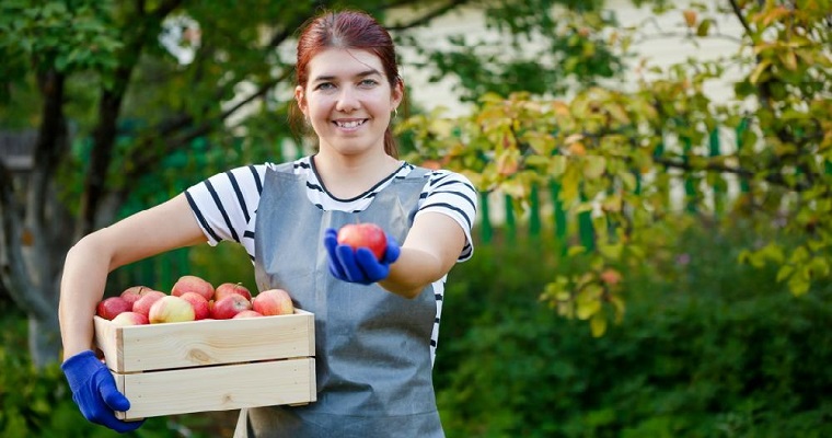 IICA lanza edición 2021 del curso virtual para fortalecer capacidades de exportadores agroalimentarios