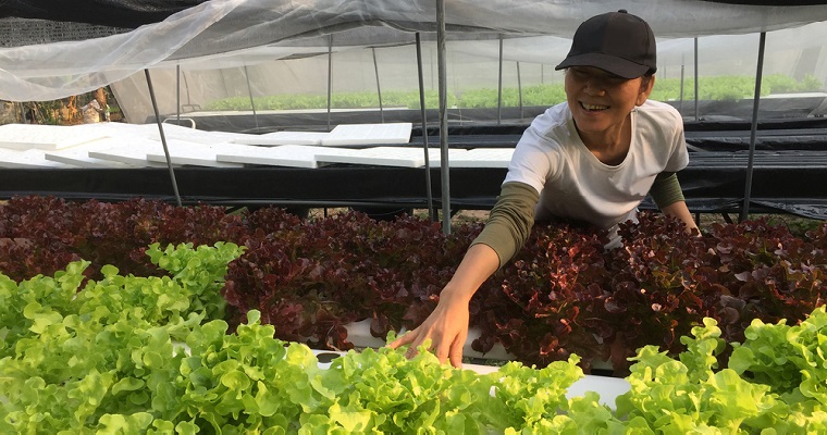 El IICA renueva compromiso con la CIAO en respaldo a desarrollo productivo y comercial de la agricultura orgánica