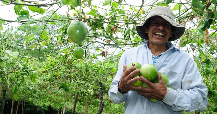 STDF y el IICA lanzan proyecto para promover en 12 países de américa latina y el caribe la disminución de residuos de plaguicidas en exportaciones agrícolas y facilitar el comercio internacional