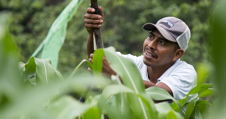 Proyecto agro-innova de la UE y el IICA impulsa red entre centros de investigación y productores para fortalecer su resiliencia al cambio climático