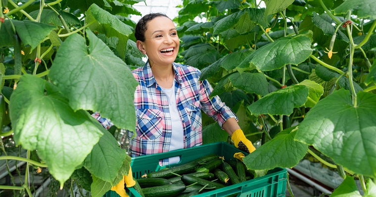32 países de las américas buscan posiciones comunes sobre medidas sanitarias y fitosanitarias para facilitar el comercio agropecuario con apoyo del IICA