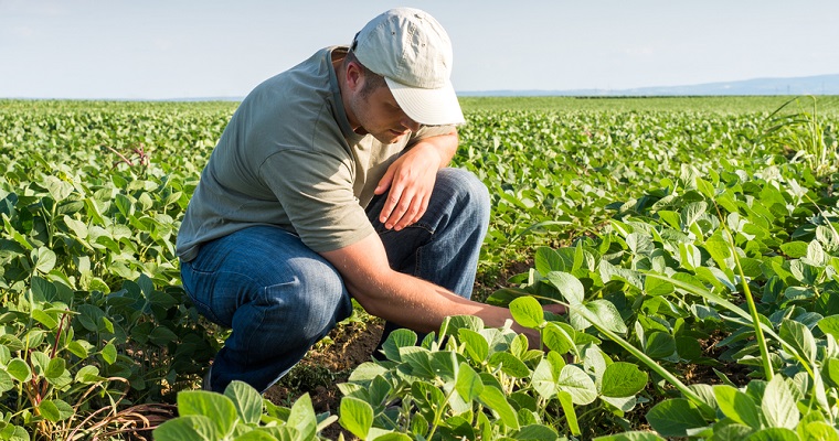 Agricultura orgánica: facilitar canales de comercialización es clave para apuntalar a los pequeños productores