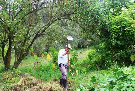 Diplomado Políticas Públicas en Agricultura: Fundamentos, análisis y aplicación - 14 de julio de 2016