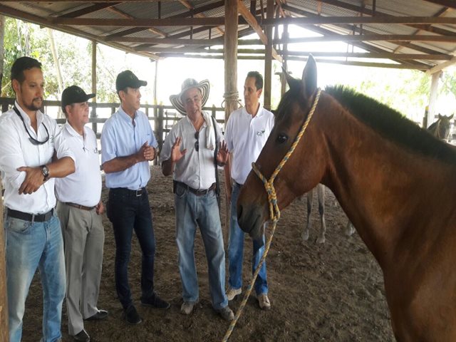 El ICA evalúa levantamiento de la cuarentena por brote de encefalitis equina venezolana en el Cesar - 08 de marzo de 2017