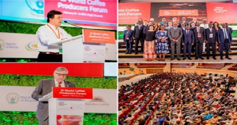 El caficultor es el eslabón más débil, pero el único indispensable.- Roberto Vélez Vallejo