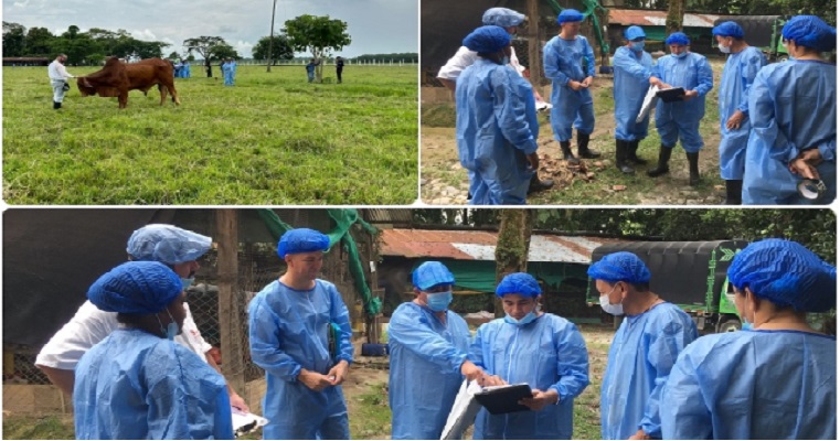 En los llanos, el ICA entrenó a sus funcionarios en bienestar animal