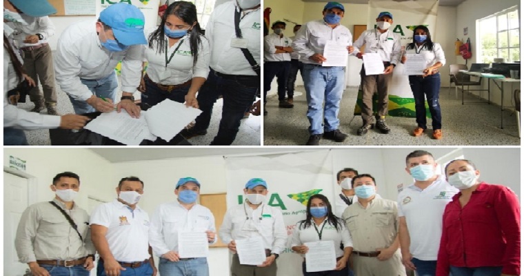 En el Putumayo, el ICA registró viveros como productores y distribuidores de cacao y de especies forestales