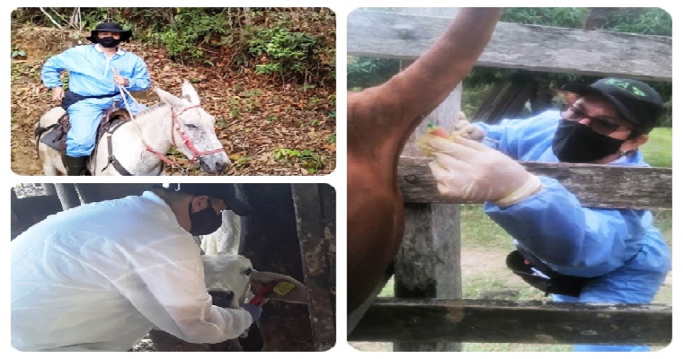 El ICA adelanta muestreos serológicos en predios de Cundinamarca