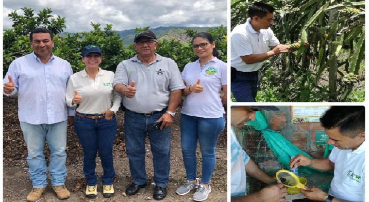 Más productores vallecaucanos registran sus predios como productores de vegetales para exportación en fresco
