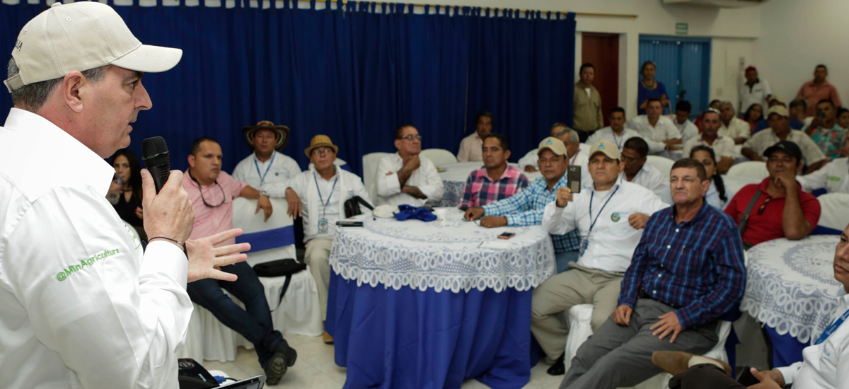 Con la paz, programas de sustitución de cultivos ilícitos tendrán mejores resultados - 05 de agosto de 2016