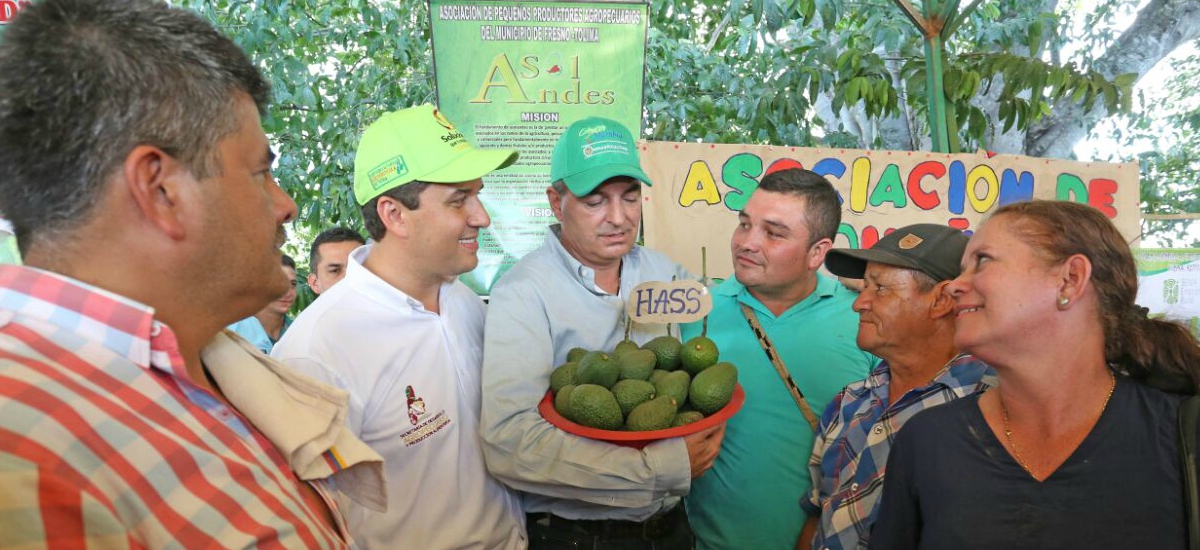 Con la primera piedra del centro de acopio de aguacate que puso en Armero, MinAgricultura le cumple a los Tolimenses - 22 de septiembre de 2016