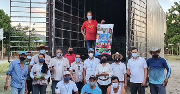 Campesinos de Nariño lograron su primera exportación internacional de lima tahití