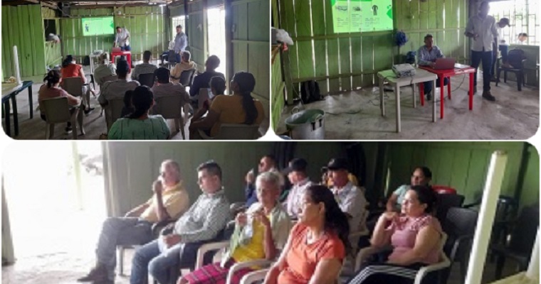 Productores de palma de aceite de Bolívar trabajan con el ICA para fortalecer sus cultivos