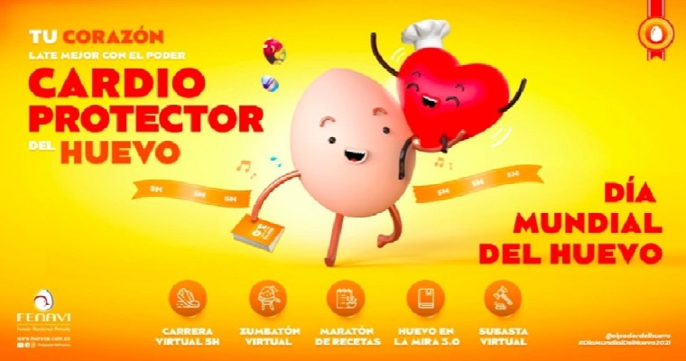 En el Día Mundial del Huevo, la Fundación Colombiana del Corazón le ha dado el aval a este alimento como cardio protector