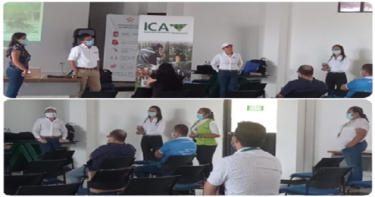 En Casanare, socialización del plan de manejo de bioseguridad para cultivos genéticamente modificados