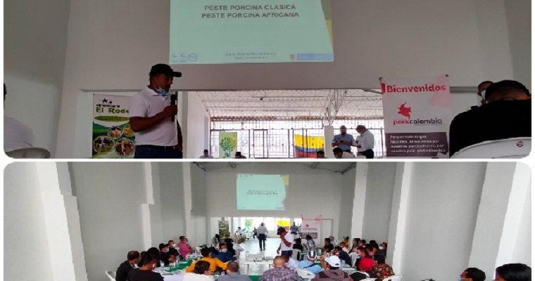 Porcicultores del Cauca se actualizan en enfermedades de control oficial