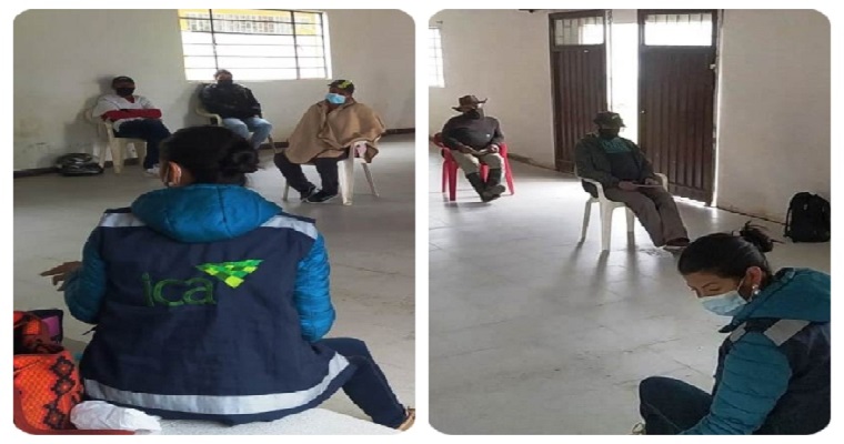 Cultivo de mora en Santander con manejo integrado de plagas