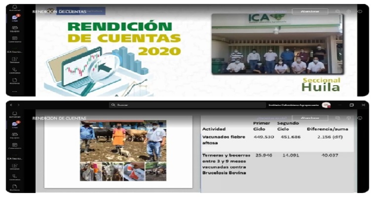 El ICA continúa fortaleciendo y protegiendo la sanidad del sector agropecuario en el Huila