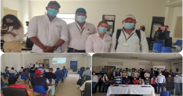 Palmicultores de Sabana de Torres se capacitan para mejorar los cultivos