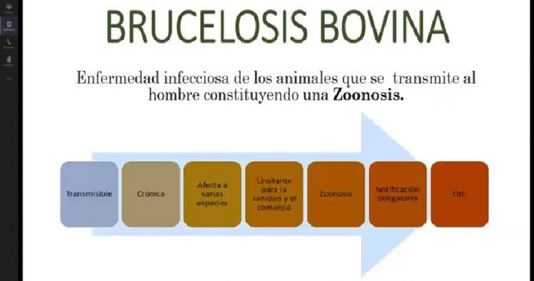 El ICA en Cundinamarca, se prepara para el primer ciclo de vacunación contra fiebre aftosa y brucelosis bovina del 2020