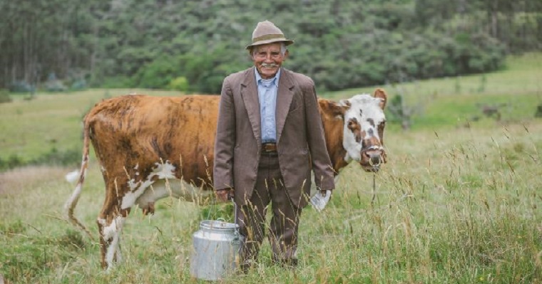 En el Cauca, el ICA sigue expidiendo las guías de movilización de animales para garantizar el abastecimiento de productos pecuarios en el departamento