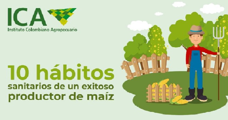 10 hábitos sanitarios de un exitoso productor de maíz