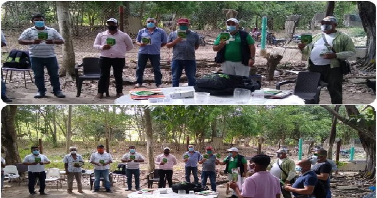 En Sucre, el ICA adelanta actividades de inspección y prevención del HLB