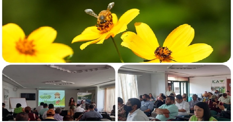 Proteger la apicultura, un compromiso con autoridades y gremios del Quindío