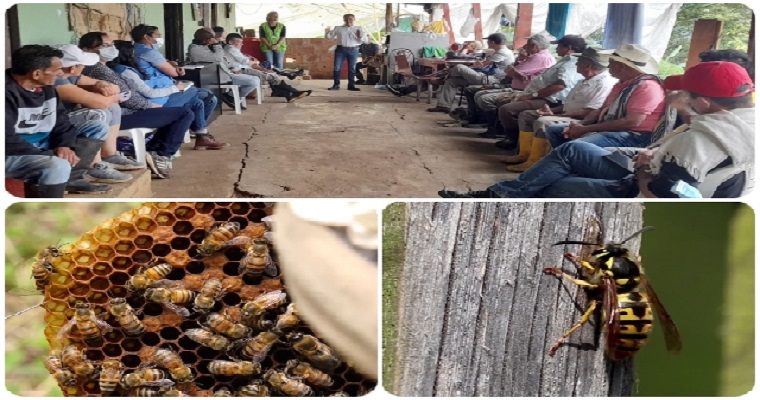Socializamos con apicultores de Cundinamarca para proteger las abejas y otros polinizadores