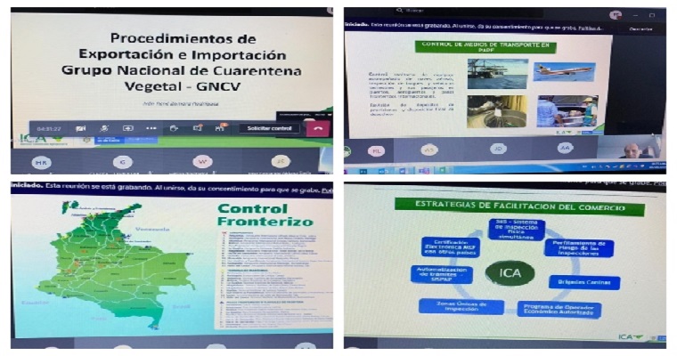 A más de 300 usuarios externos, el ICA socializó los procesos de importación y exportación de productos agropecuarios