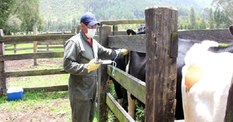 El Plan Nacional de Desarrollo (PND) amplió facultades sancionatorias al ICA