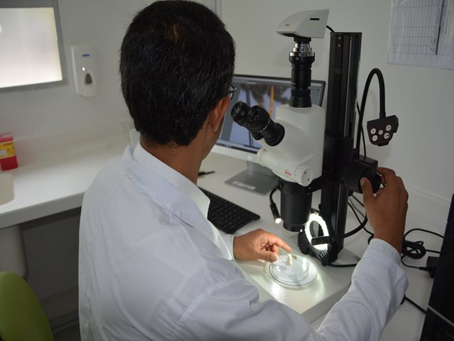 El Laboratorio de Diagnóstico Fitosanitario del ICA en Atlántico, en equipo con los productores