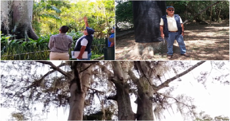 El ICA y directivos de El Gallineral trabajan para proteger la flora del parque