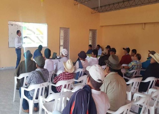 Productores del Huila se capacitan en el manejo fitosanitario del cultivo de caña