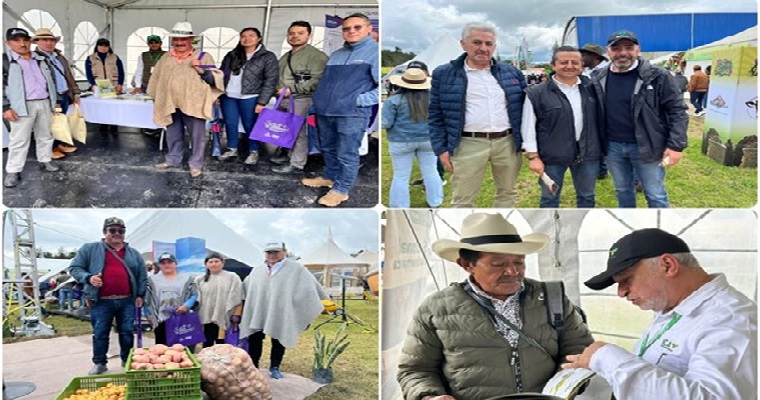 El cultivo de papa, clave para la seguridad alimentaria, hambre cero y fortalecimiento del campo