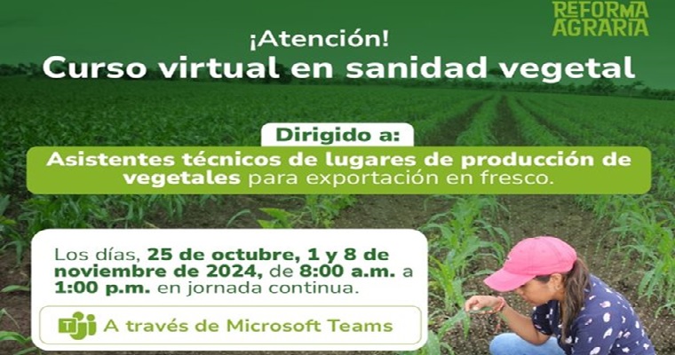 El ICA realizará curso en Sanidad Vegetal para asistentes técnicos de cultivos