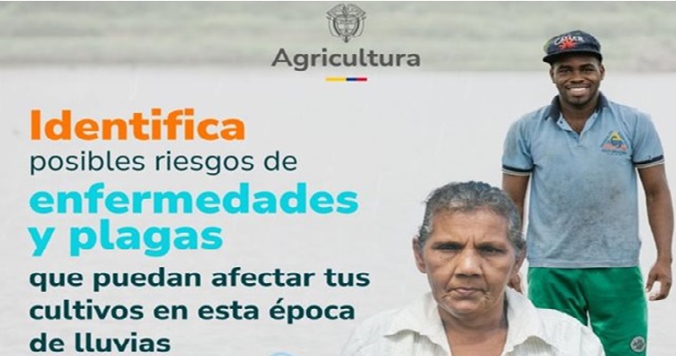 Señor productor agropecuario alerta por las lluvias, aplique las recomendaciones del ICA para disminuir la afectación en cultivos y animales.