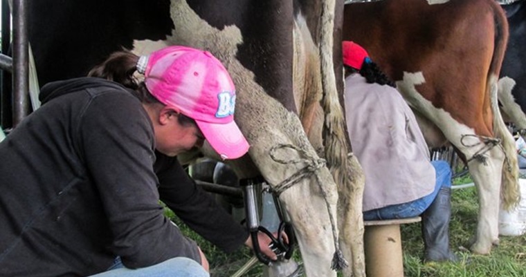 Panaftosa lanza curso en línea sobre fiebre aftosa para proteger el ganado