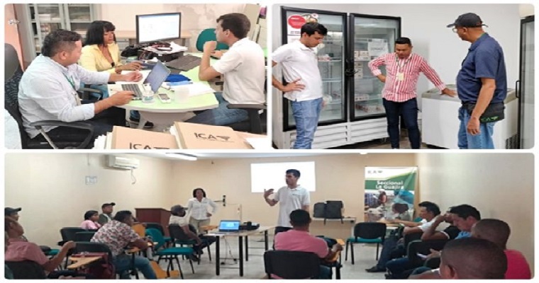 El ICA, Fedegán y Asogagua coordinan la vacunación contra la fiebre aftosa en La Guajira