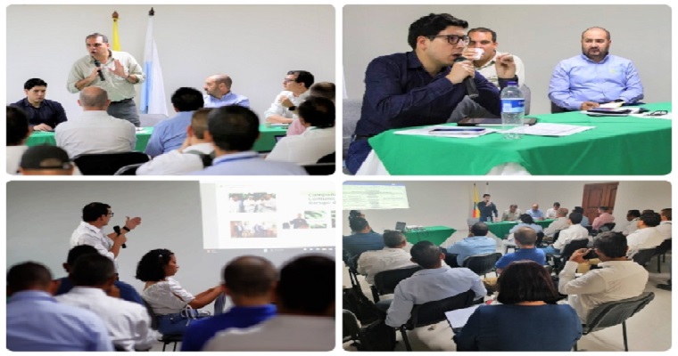 Prevención, vigilancia, contención, comunicación y articulación sectorial, fundamentos para mantener la sanidad de los cultivos de plátano y banano en Colombia.