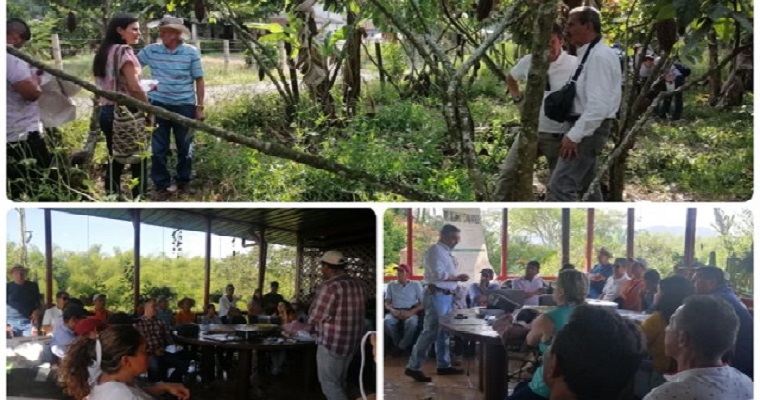 El ICA comprometido con el fortalecimiento de la producción de cacao en Quindío