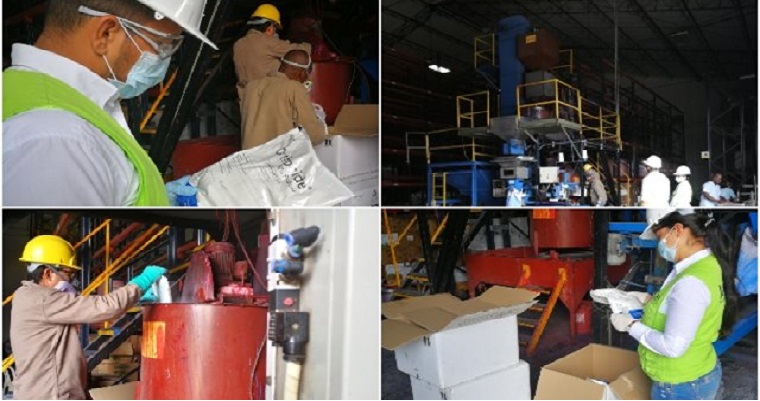 El ICA supervisa la calidad fitosanitaria a semillas de maíz con destino al Perú