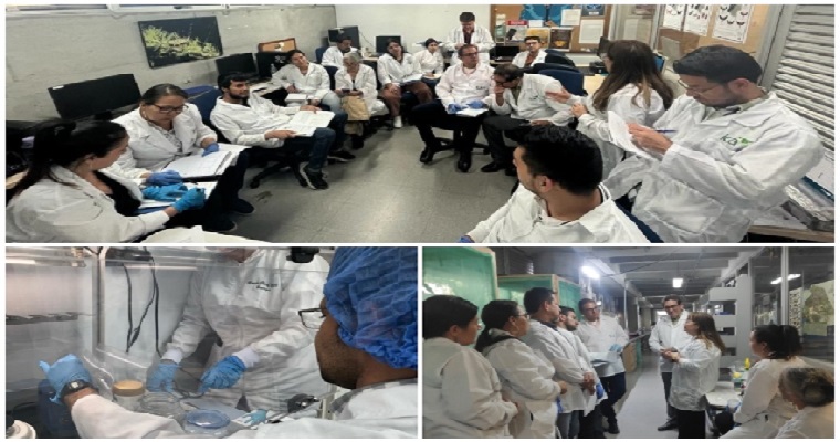 El ICA fortalece sus capacidades en la identificación de insectos de importancia agrícola, mediante el uso de códigos de barras de ADN