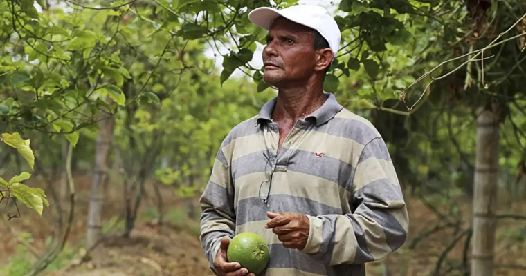 Gobierno reactiva el ICR con $45.000 millones para proyectos de inversión