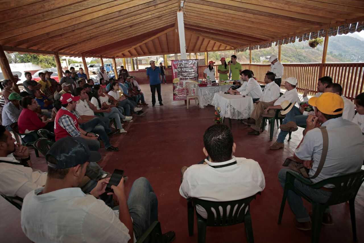 Integrantes de zonas veredales y comunidades vecinas coinciden en la agricultura como fuente de generación de empleo - 04 de marzo de 2017