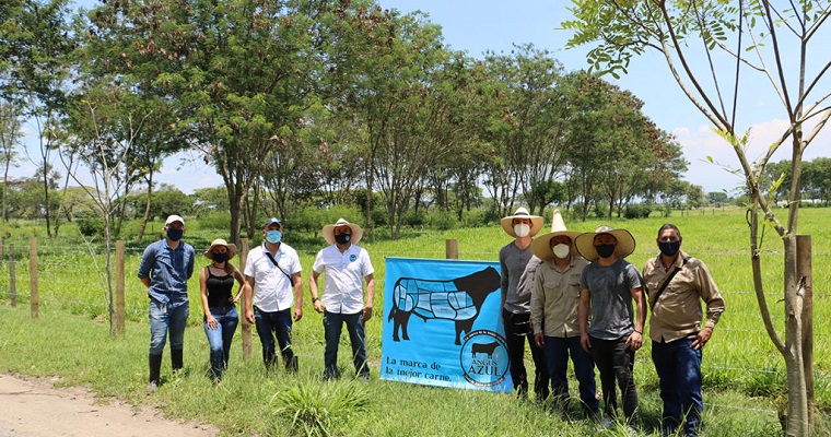 Avanzar en sistemas sostenibles de producción ganadera basados en forraje en Colombia